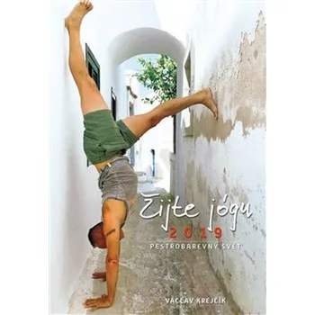 Diář Žijte jógu diář 2019 - Václav Krejčík
