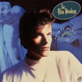 Zahraniční hudba 4CD The Blow Monkeys: Animal Magic 2023