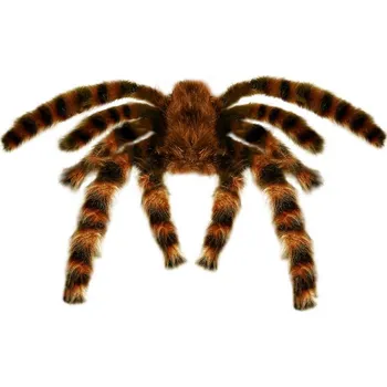 Karnevalový doplněk Pavouk - 65 cm