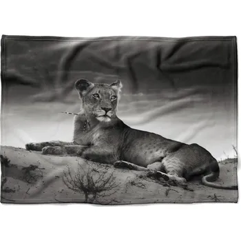 Dětská deka Deka Ležící lev 150x120 cm (Rozměr : 200 x 140 cm, Podšití beránkem: NE)