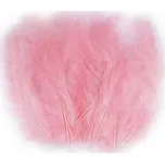 Stoklasa Pštrosí peří 9-16 cm 20 ks