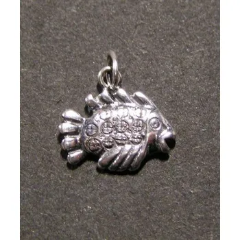 Přívěsek Malá rybka - stříbrný přívěsek