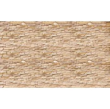 Fototapeta Vliesová obrazová tapeta 22102, Kamenná stěna 416 x 254 cm, Photomurals, Vavex