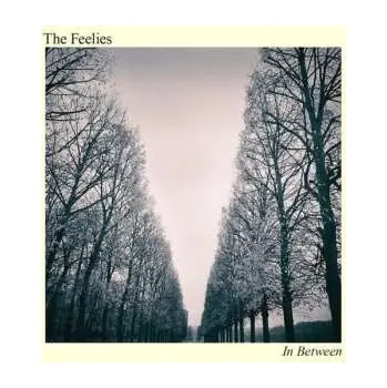 Zahraniční hudba LP The Feelies: In Between 2017