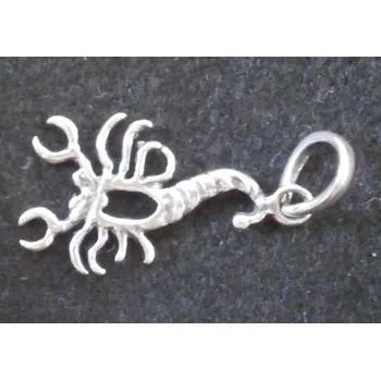 Přívěsek Štír - stříbrný přívěsek - varianta 2