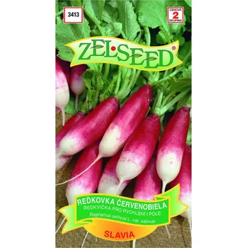 Semeno Semena - ŘEDKVIČKA ČERVENOBÍLÁ ´SLÁVIA´