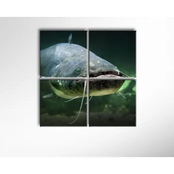 Obraz Malvis ® Obraz Sumec pod vodou ROZMĚR (šířka x výška): čtyřdílný čtverec 80x80 cm