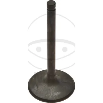 Ventil motoru Sací ventil JMT 747.06.85