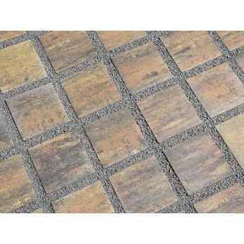 BEST - AKVAGRAS 6 COLORMIX ETNA