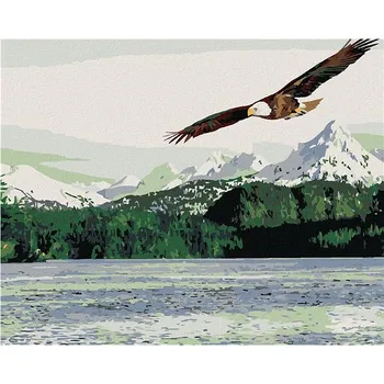 Malování podle čísel - Mořský orel, 50x40 cm, bez rámu a bez vypnutí plátna