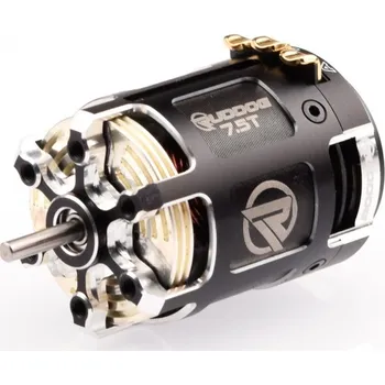 RC model letadla RP542 6.5T 540 Sensored Brushless/střidavý motor