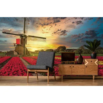 Fototapeta Tapeta Větrný mlýn při východu slunce (vliesová fototapeta)