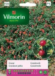 Vilmorin Premium Granátovník 30 ks