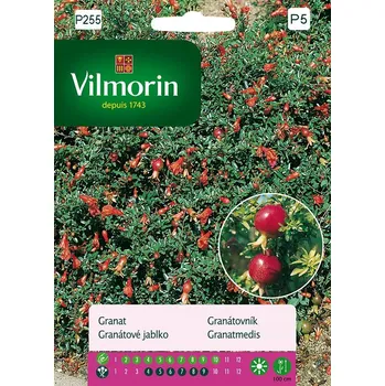 Semeno Vilmorin Premium Granátovník 30 ks