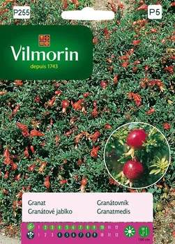 Semeno Vilmorin Premium Granátovník 30 ks