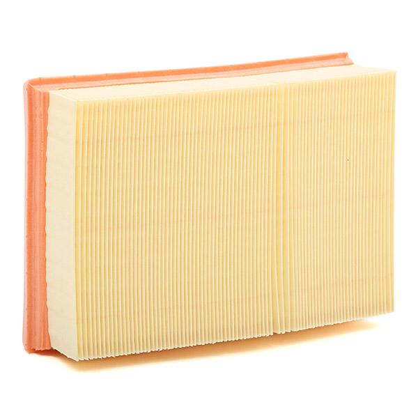 C 24 393 MANN-FILTER Filtro aria per IVECO