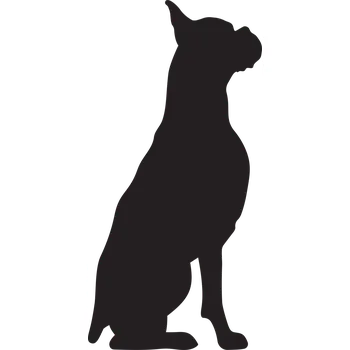 Vsepropejska Boxer 2 dřevěná dekorace na zeď Rozměr (cm): 38 x 19