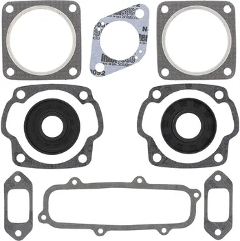 Těsnění motoru Winderosa sada těsnění motoru (s olejovým těsněním) Sachs 440 SA440/2 / SA440C & R FC/2