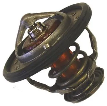 Auto-moto Termostat, chladivo BorgWarner (Wahler) 410231.82D