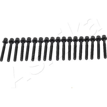 Spojovací materiál motoru Sada šroubů hlavy válce ASHIKA 115-01-102