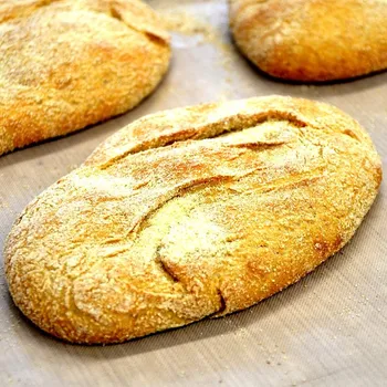 ASO - Zdravý život Celozrnné bulky z tvrdé pšenice bio 100g