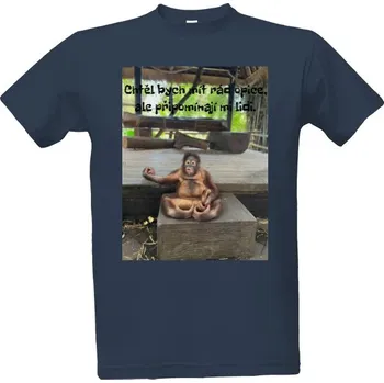 Tričko s potiskem Chtěl bych pánské