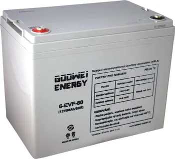 Trakční baterie Goowei 6-EVF-80 12 V 80 Ah