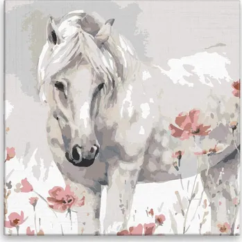 Malování podle čísel - Divoký kůň - 40x40 cm, bez dřevěného rámu - CZ výroba