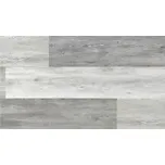 Vinyl Floor Forever Floor Forever Economy vinyl Click RIGID 4302