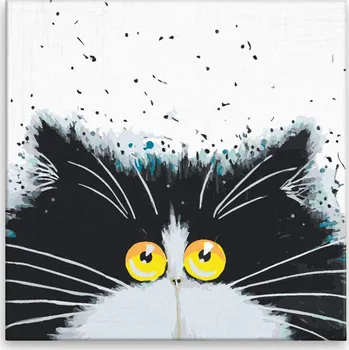 Malování podle čísel - Chlupáč s velkýma žlutýma očima - 40x40 cm, bez dřevěného rámu - CZ výroba