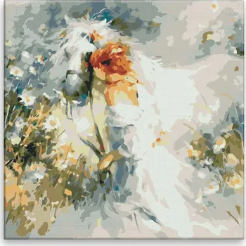 Malování podle čísel - Dívka s bílým koněm - 40x40 cm, bez dřevěného rámu - CZ výroba