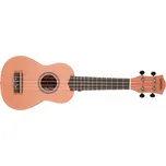 Cascha Sopranové ukulele Starter Pack