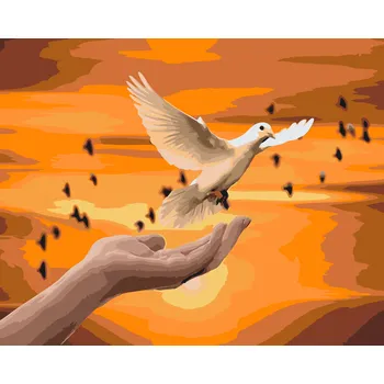 Malování podle čísel - Bílá holubice Velikost: 40x50cm, Rámování: Pouze srolované plátno