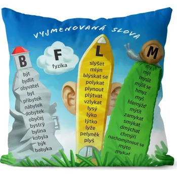 Polštář Polštář 40 x 40 cm - Vyjmenovaná slova