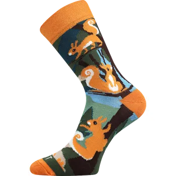 Pánské ponožky Ponožky - Veverka - velikost 39-42 (Velikost 39-42)