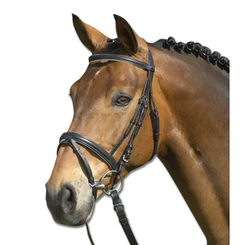 Waldhausen Uzdečka STAR Lifestyle Barva: Černo - bílá, Velikost: COB