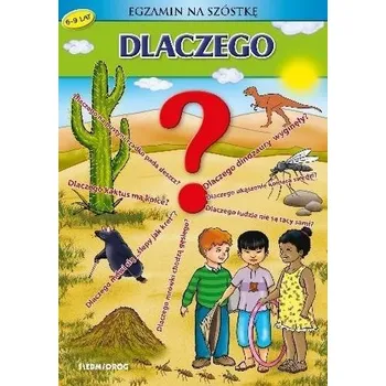 Bystrá hlava Dlaczego? Egzamin na szóstkę - Praca zbiorowa