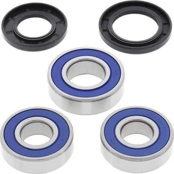 All Balls sada zadního ložiska a gufera Suzuki DR250S 90-95, DR350SE 90-95, DR650SE 96-17, XF650 FREEWIND (Euro) 97-01