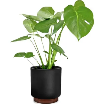 Květináč Fox & Fern Enspijk květináče (10038463)