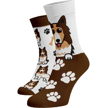 Dámské ponožky Veselé ponožky Kolie Bílá Bavlna 42-44