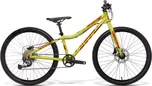 Amulet Youngster 24" 2022 olive…