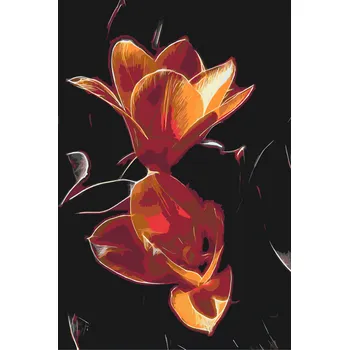Malování podle čísel - Tulipán Velikost: 40x60cm, Rámování: Pouze srolované plátno