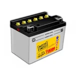 FIAMM F50-N18L-A 12 V 20 Ah 200 A 