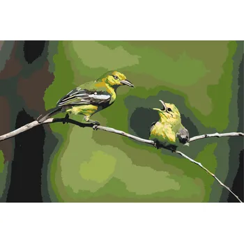 Malování podle čísel - Ptáci na stromě Velikost: 40x60cm, Rámování: Pouze srolované plátno
