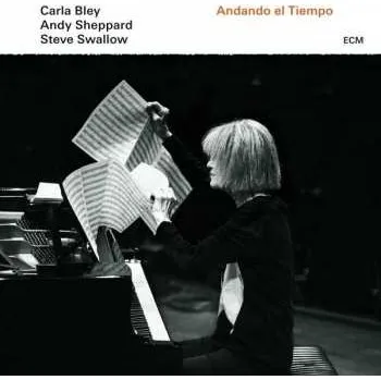 Zahraniční hudba LP Steve Swallow: Andando El Tiempo 2016 180g Vinyl