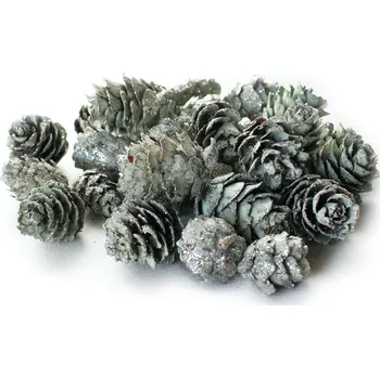 Zahradní dekorace Dekorační sušené plody 150g mint (786118)