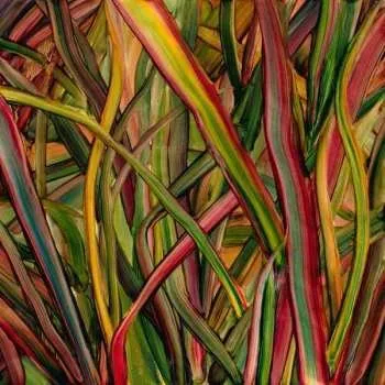 Zahraniční hudba LP Gengahr: Where Wildness Grows 2018