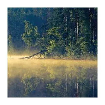 Zahraniční hudba LP Oneirogen: Plenitude 2015