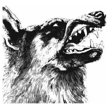 Zahraniční hudba 2LP Crippled Black Phoenix: I, Vigilante 2021 180g Vinyl