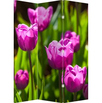 Paraván LuxusniObrazy.cz Paraván - Tulipány na louce